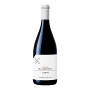 Cottini - Amarone della Valpolicella Classico  - 0.75L - 2017