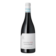 Cottini - Valpolicella Ripasso Classico Superiore  - 0.75L - 2021