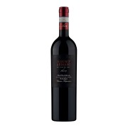 Albino Armani - Valpolicella Ripasso Classico Superiore - 0.75L - 2022