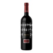 Alpasión - Grand Cabernet Franc  - 0.75L - 2021