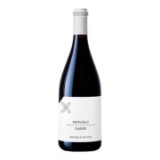 Cottini - Valpolicella Classico  - 0.75L - 2024