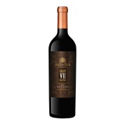 Bodegas Salentein - Malbec Cabernet Sauvignon Gran VU  - 0.75L - 2021