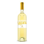 Ca’ Maiol - Lugana Maiolo  - 0.75L - 2024