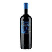 Caballo Loco - Apalta Grand Cru - 0.75L - 2023