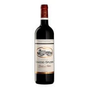 Château Chasse-Spleen - Moulis-en-Médoc  - 0.75L - 2022