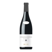 Clément & Florian Berthier - Coteaux du Giennois Rouge  - 0.75L - 2023