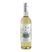 Daruna - Pinot Grigio - 0.75L - 2025