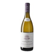 Domaine Chandon de Briailles - Savigny-lès-Beaune Les Saucours Blanc  - 0.75L - 2021