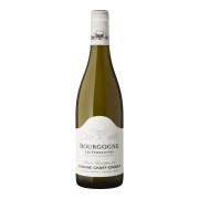 Domaine Chavy-Chouet - Bourgogne Les Femelottes  - 0.75L - 2024