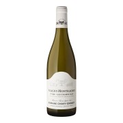 Domaine Chavy-Chouet - Puligny-Montrachet Premier Cru Les Champs Gain  - 0.75L - 2023