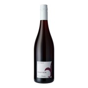 Domaine Guy Allion - Les Parcs Pinot Noir  - 0.75L - 2024