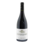Domaine Jean Féry & Fils - Nuits-Saint-Georges Premier Cru Les Damodes  - 0.75L - 2021