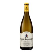 Domaine Jean-Paul & Benoît Droin - Chablis Premier Cru Montée de Tonnerre  - 1.5L - 2022