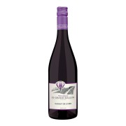 Domaine Joël & Thierry Delaunay - Le Grand Ballon Gamay  - 0.75L - 2022