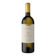 Elena Walch - Pinot Grigio Castel Ringberg  - 0.75L - 2024