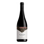 Il Conte Villa Prandone - Marinus  - 0.75L - 2021
