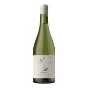 Kaiken - Divina Chardonnay - 0.75L - 2024