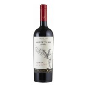 Miguel Torres - Andica Cabernet Sauvignon Gran Reserva  - 0.75L - 2022