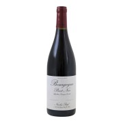 Nicolas Potel - Bourgogne Pinot Noir  - 0.75L - 2024