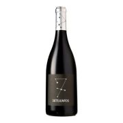 Sietejuntos - Merlot  - 0.75L - 2012