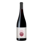 Sophie Schaal - Pinot Noir  - 0.75L - 2024