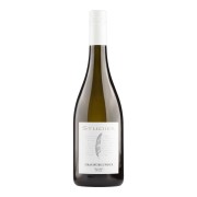Studier - Grauburgunder BIO  - 0.75L - 2025