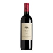 Tenuta di Biserno - Insoglio del Cinghiale  - 1.5L - 2022