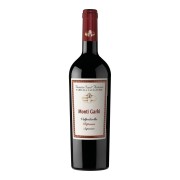 Tenuta Sant’Antonio - Valpolicella Ripasso Monti Garbi  - 0.75L - 2022
