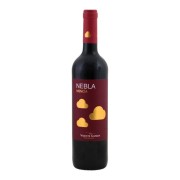 Vicente Gandía - Nebla Mencía  - 0.75L - 2023