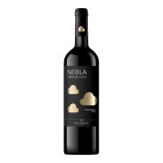 Vicente Gandía - Nebla Ribera del Duero Tempranillo  - 0.75L - 2023