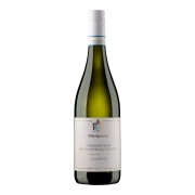 Vignamato - Verdicchio dei Castelli di Jesi Classico  - 0.75L - 2025
