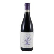Villiera - Stand Alone Gamay  - 0.75L - 2021