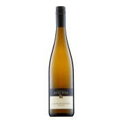Weingut Bischel - Estate Grauer Burgunder  - 0.75L - 2025