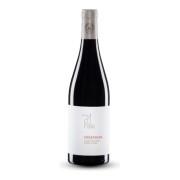 Weingut Paul Achs - Gols Ried Ungerberg Blaufränkisch  - 3L - 2019