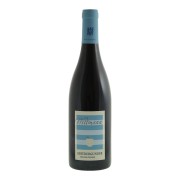 Weingut Wittmann - Spätburgunder Trocken BIO  - 0.75L - 2024