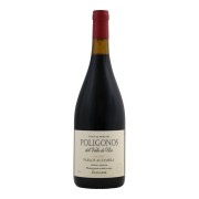 Zuccardi - Poligonos Paraje Altamira Malbec  - 0.75L - 2023