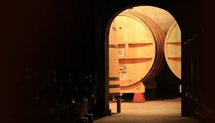 Domaine de Remizieres wijn