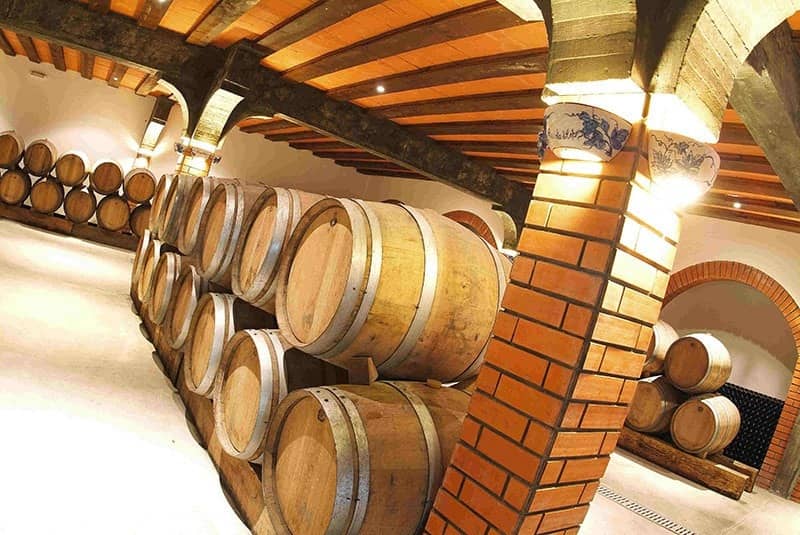Quinta de Cabriz wijnkelder